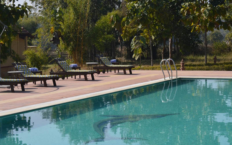 swimming pool with  lounge chair